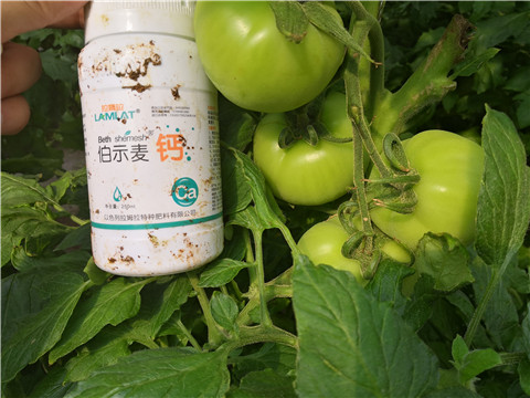 葉面肥，磷酸二氫鉀，鈣肥