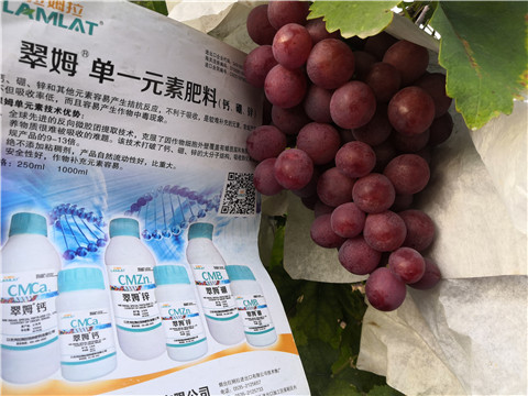 水溶肥，鈣肥，硼肥