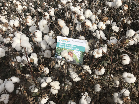 水溶肥，根碧多，生物菌劑