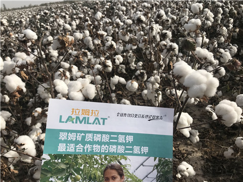 水溶肥，根碧多，生物菌劑