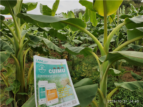 葉面肥，微生物菌劑，硼肥，水溶肥