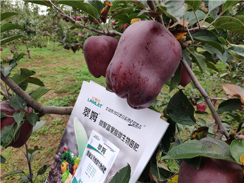 微生物菌劑，