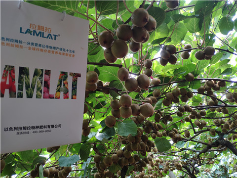 磷酸二氫鉀，葉面肥