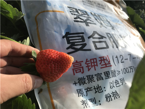 水溶，拉姆拉，翠姆