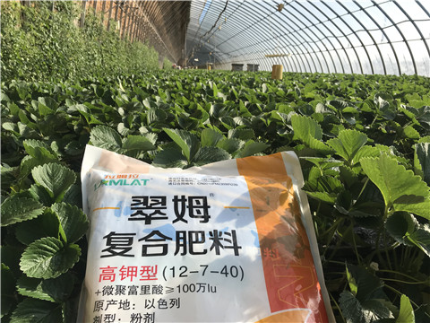 水溶，拉姆拉，翠姆