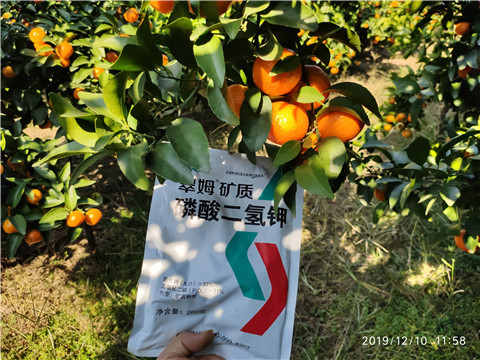 水溶肥，磷酸二氫鉀