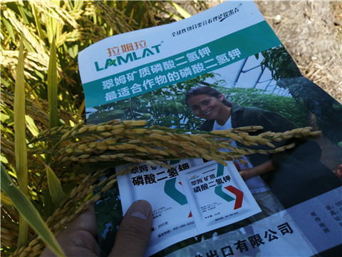 水溶肥，磷酸二氫鉀，