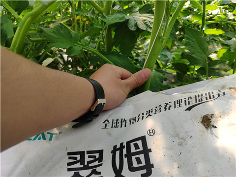 微生物菌劑，