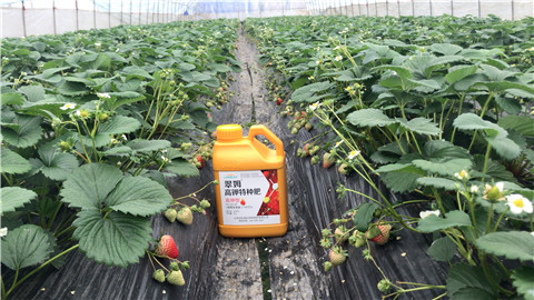 水溶肥，翠姆