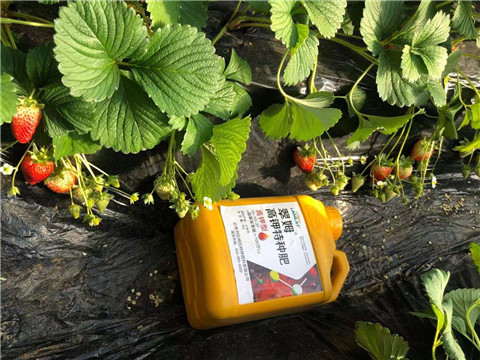 水溶肥，拉姆拉