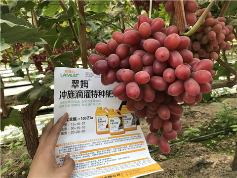 沖施肥，拉姆拉