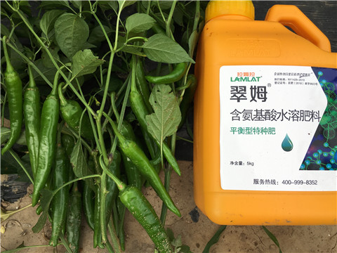 根碧多，微生物菌，葉面肥