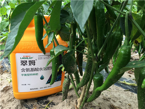 根碧多，微生物菌，葉面肥