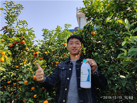 硼肥，拉姆拉