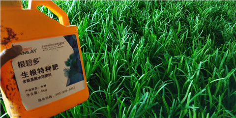 根碧多，拉姆拉