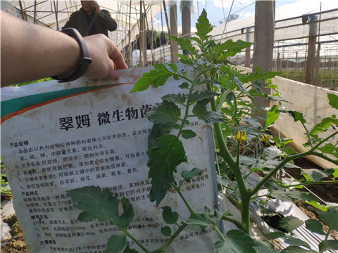 微生物菌劑 ，拉姆拉翠姆