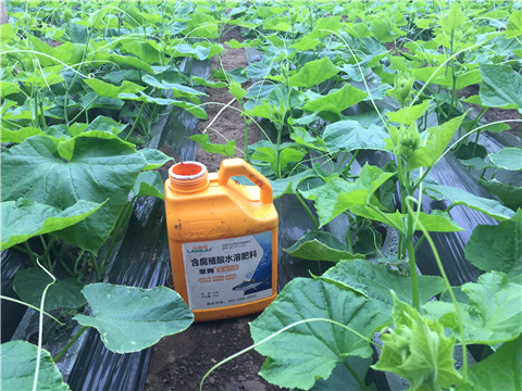 水溶肥，拉姆拉