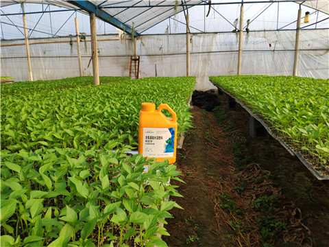 水溶肥，