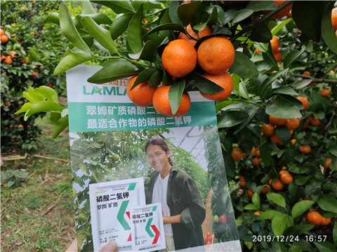 磷酸二氫鉀，葉面肥