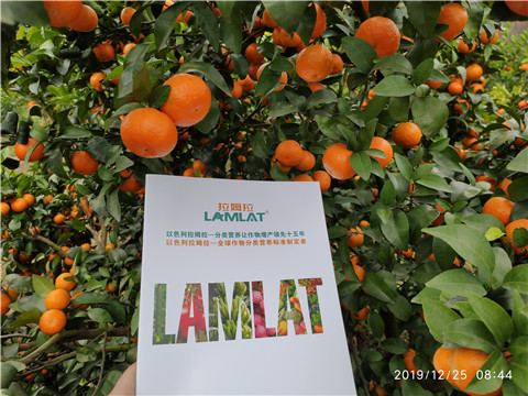 水溶肥，根碧多