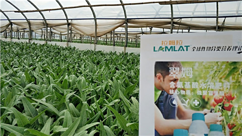 葉面肥，磷酸二氫鉀