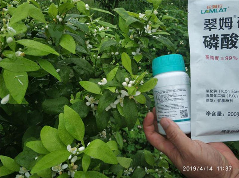 水溶肥，根碧多