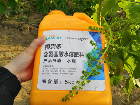 生根劑，微生物菌劑