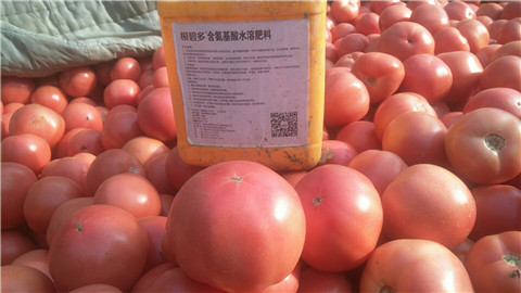 水溶肥，根碧多