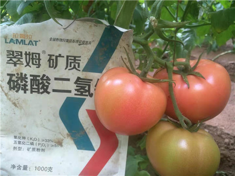 水溶肥，根碧多