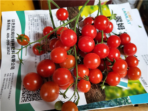 磷酸二氫鉀，鈣肥，根碧多