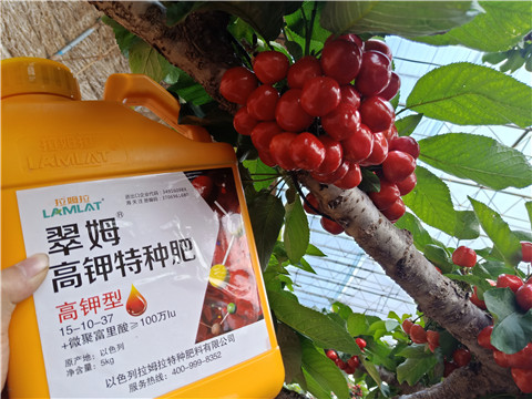 水溶肥，根碧多