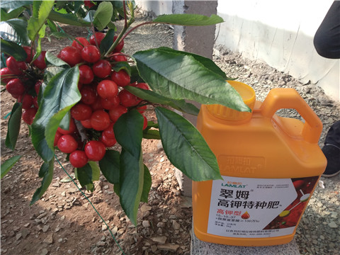 水溶肥，根碧多