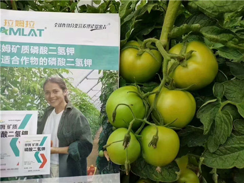 磷酸二氫鉀，鈣肥，水溶肥