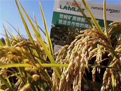 磷酸二氫鉀，翠姆