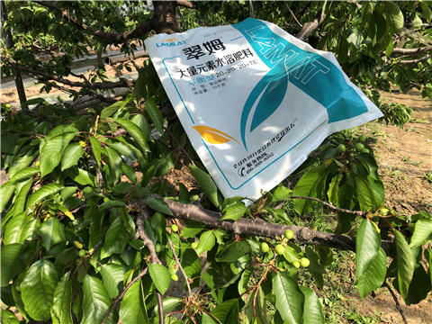 大量元素水溶肥，磷酸二氫鉀，硼肥