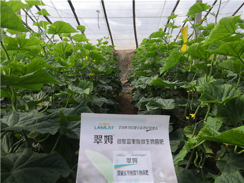 微生物菌劑，拉姆拉