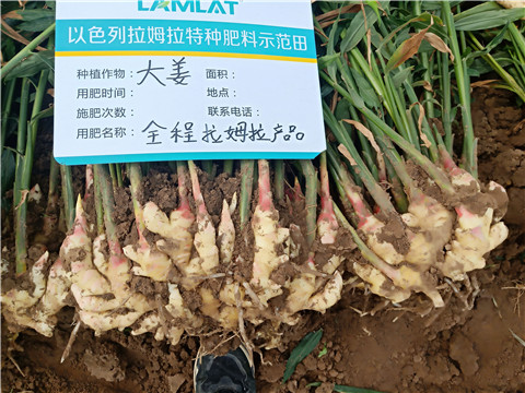 水溶肥，微生物菌劑，拉姆拉