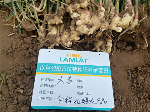 水溶肥，微生物菌劑，拉姆拉