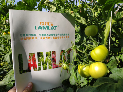 微生物菌劑，拉姆拉，伯示麥