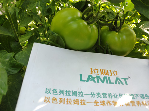 微生物菌劑，拉姆拉，伯示麥