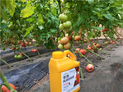 水溶肥，磷酸二氫鉀