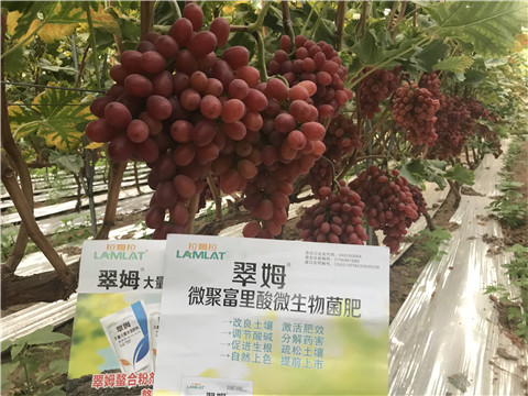 微生物菌劑，硼肥，鈣肥