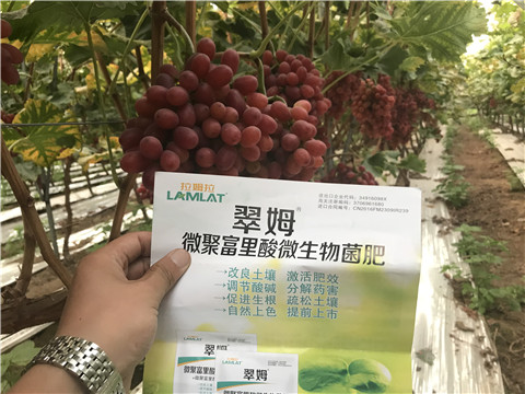 微生物菌劑，硼肥，鈣肥