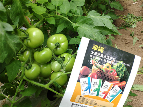 水溶肥，磷酸二氫鉀