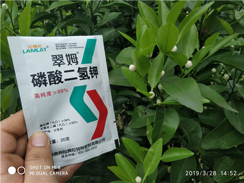 磷酸二氫鉀，硼肥，拉姆拉