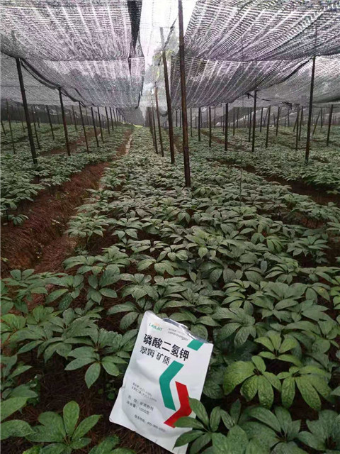 磷酸二氫鉀，安碧解，