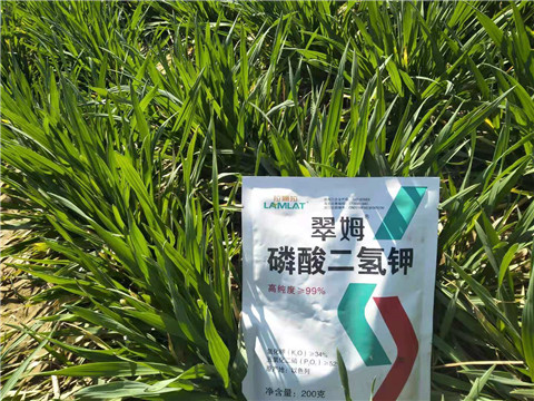 磷酸二氫鉀，葉面肥，拉姆拉