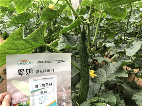 微生物菌劑，水溶肥，拉姆拉