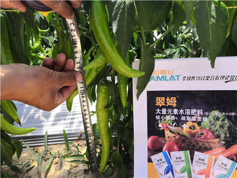 微生物菌劑，復合肥料，拉姆拉