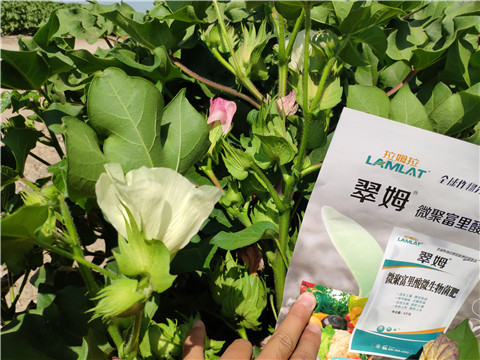 微生物菌劑，拉姆拉